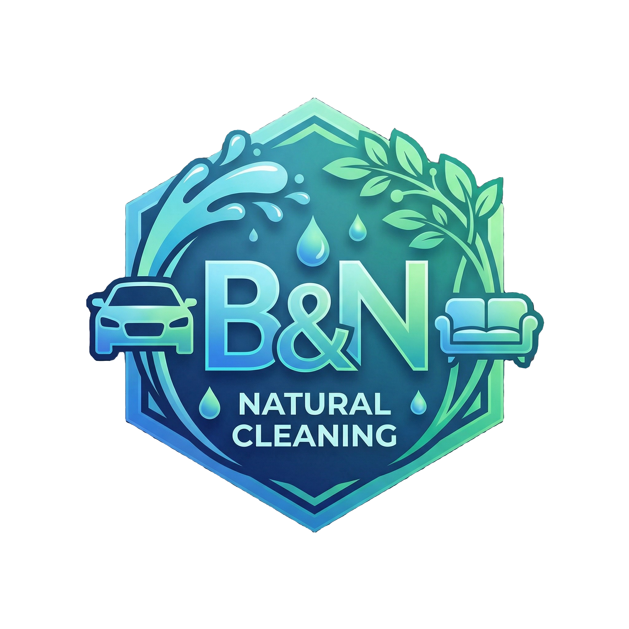 B&N Natural Cleaning Logo